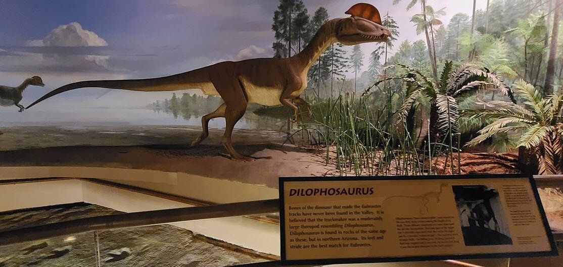 Dinosaur State Park, United States